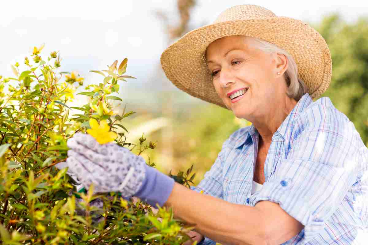 Fertilizzante naturale per piante