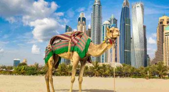 Dubai, dai robot che cavalcano i cammelli agli sport invernali: le curiosità che in pochi conoscono ti conquisteranno