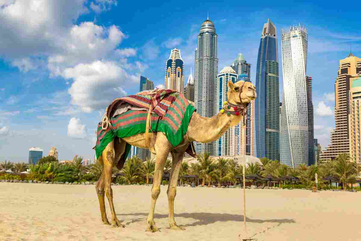 Dubai, dai robot che cavalcano i cammelli agli sport invernali: le curiosità che in pochi sanno