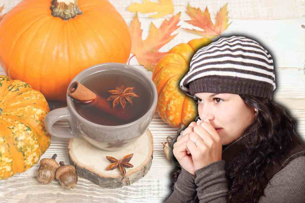 Tisane contrastare raffreddore autunno